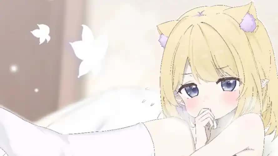 视觉数据5